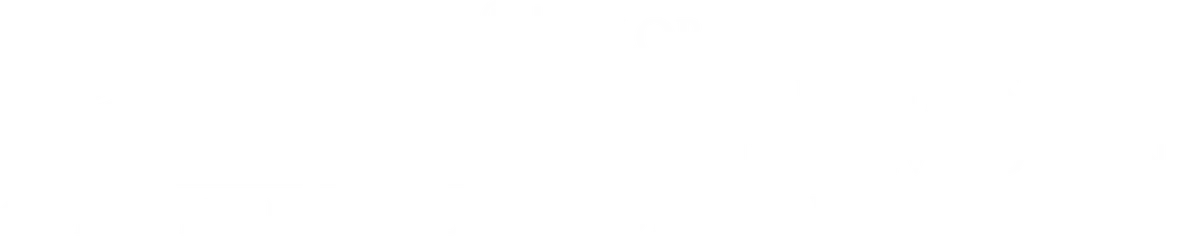 XEM Consultants Ltd logo